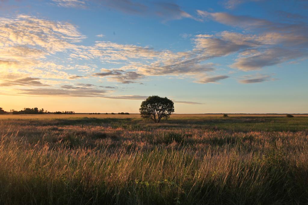 Aurora Kakadu Hotel Kültér fotó